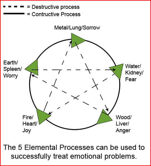 5 Elemental Processes