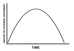 Qi Flow Graph