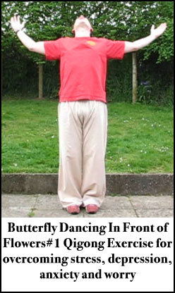 Best Qigong Exercises for overcoming depression is butterfly dancing