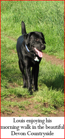 Louis enjoying the beautiful Devon countryside