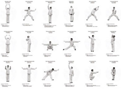 Qigong Exercises are many and varied