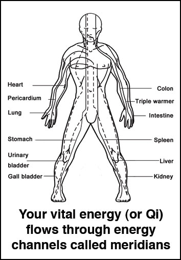 Vital energy or Qi flows through the meridians of the body